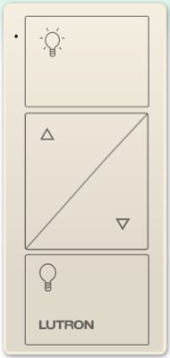 Control Remoto Pico (2Botones con R/L)
