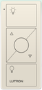 Control Remoto Pico (3Botones con R/L)