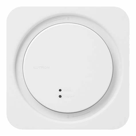 Procesador Lutron -RadioRA3