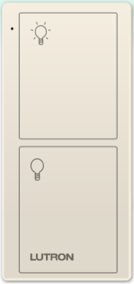 Control Remoto Pico (2Botones)