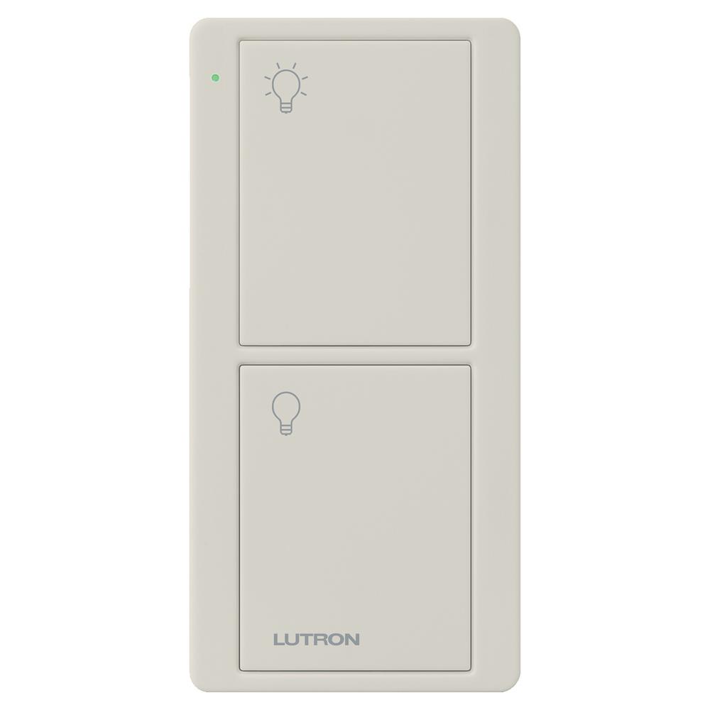 Control Remoto Pico (2Botones)