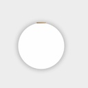 Aplique IP44 globo vidrio blanco led 120V 