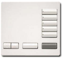 Botonera de mesa (RF/5 Botones con R/L) -RadioRa2