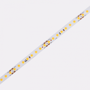 Cinta de led (rollo de 5m) con 128 leds/m 24V 8,8W/m 1040lm/m 118lm/w CRI80 8mm IP20 atenuable CO-FD128