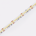 Cinta de led (rollo de 5m) con 256 leds/m 24V 39W/m 4610lm/m CRI80 12mm IP20 atenuable DS8256