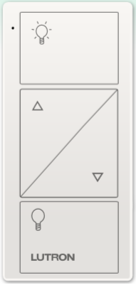 Control Remoto Pico (2Botones con R/L)