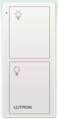 Control Remoto Pico (2Botones)